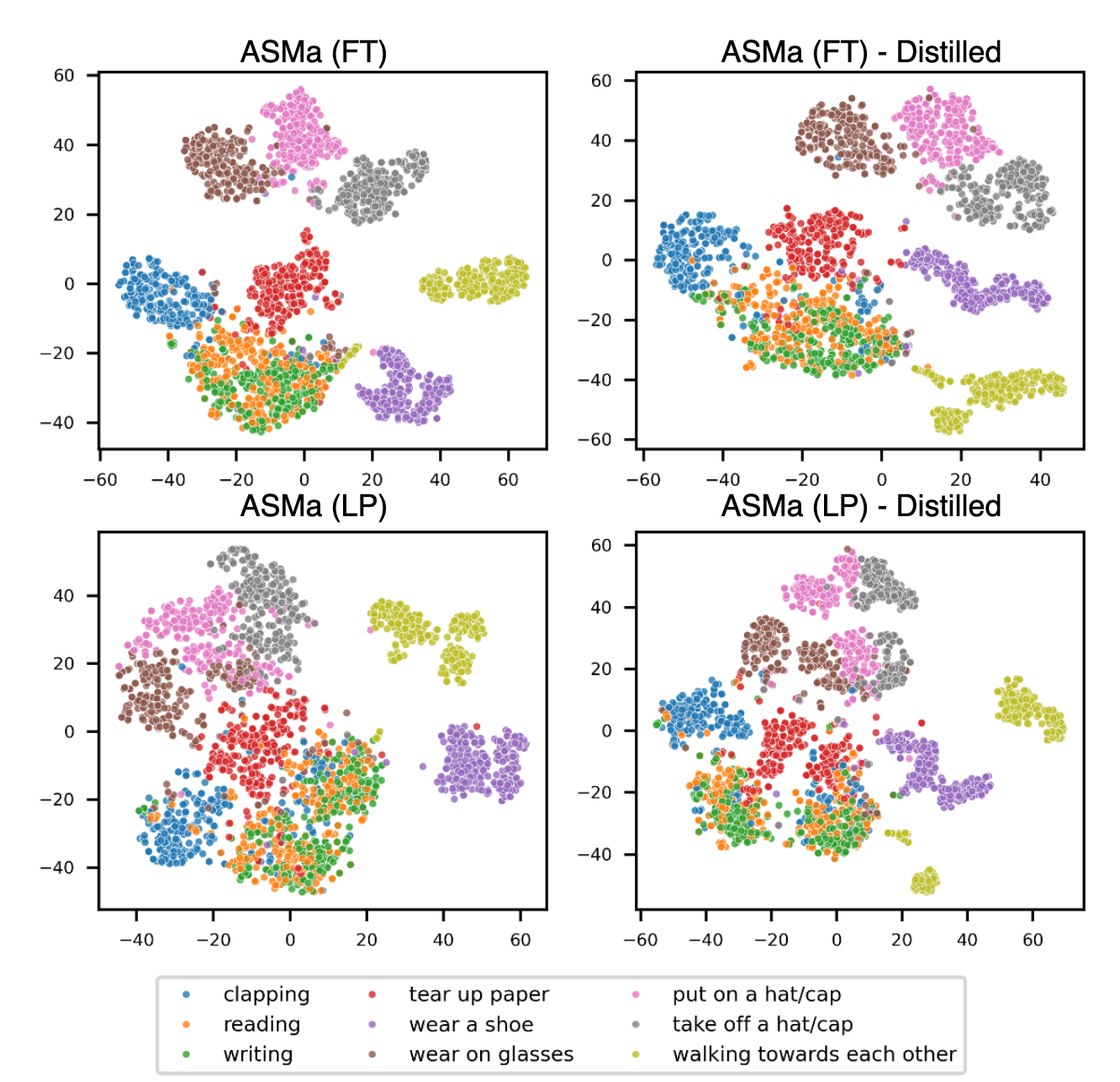 t-SNE Visualization